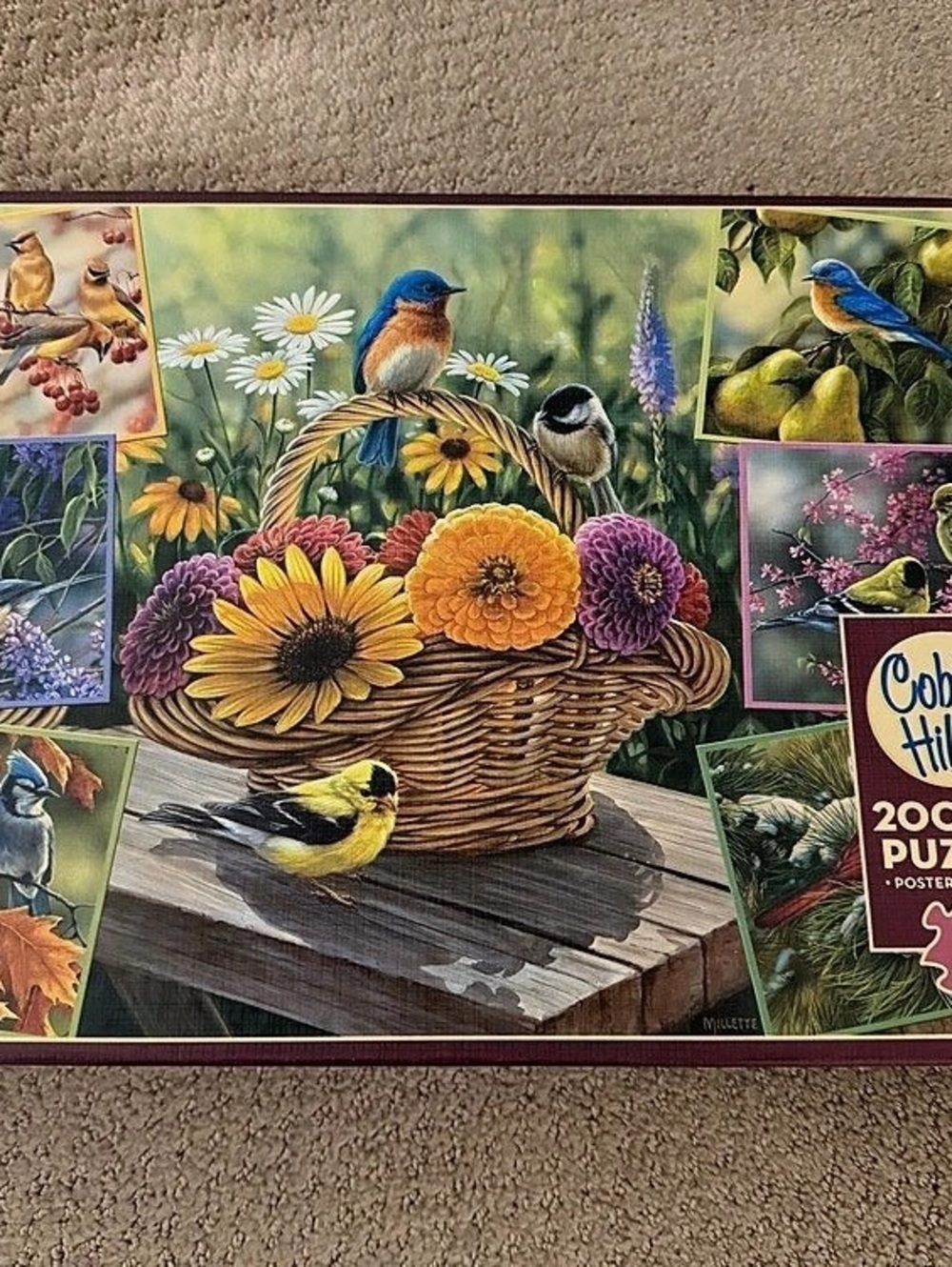 Cobble Hill 2000 Piece Jigsaw Puzzle